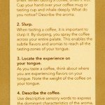 Coffee Card back side - coffee tasting info