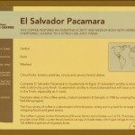El Salvador Pacamara Coffee Sourcing Info Card