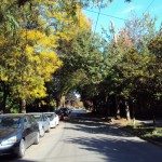 Looking North up 700 Broadway East - Classical old Cap Hill neighborhood Street