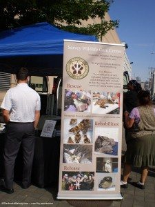 Sign for Sarvey Wildlife Care Center