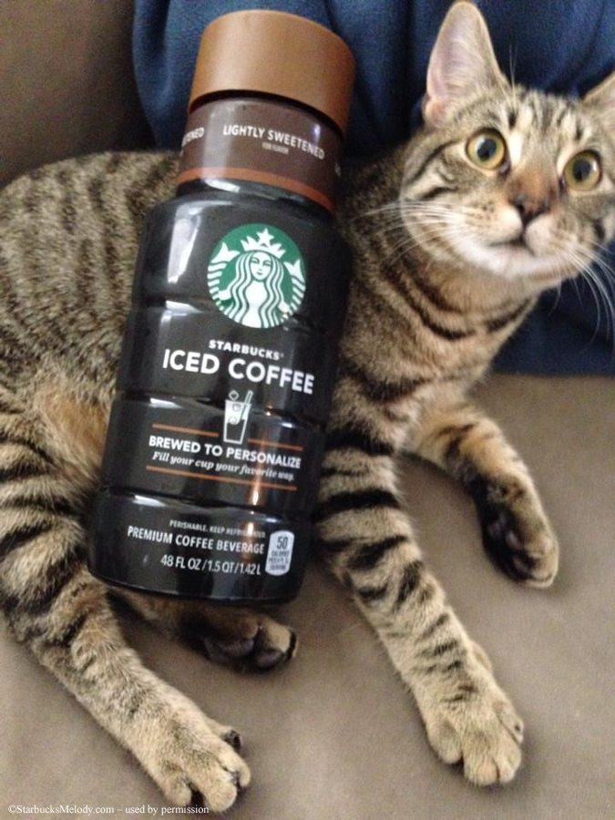 New brewed Starbucks Iced Coffee: Now at your local grocery store