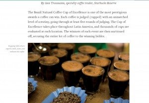 1 - 1 - cupping photo