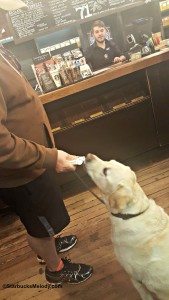 2 - 1 - 20151017_074946 steeler at 1912 Pike Place Starbucks