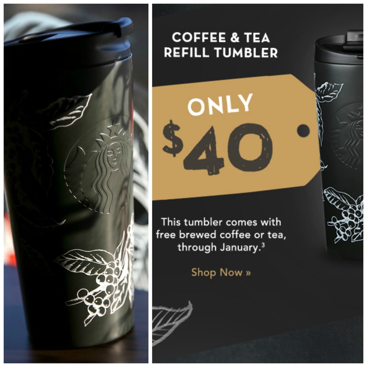 Unlimited Coffee Tumbler Refills : Dark Green Refill Tumbler