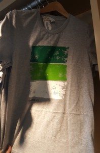 1 - 1 - 20160617_162030 green striped Starbucks t-shirt at the coffee gear store