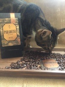 Paradeisi Blend and Roscoe - eating the coffee beans