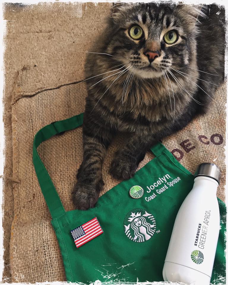 Cosmo and Greener Apron
