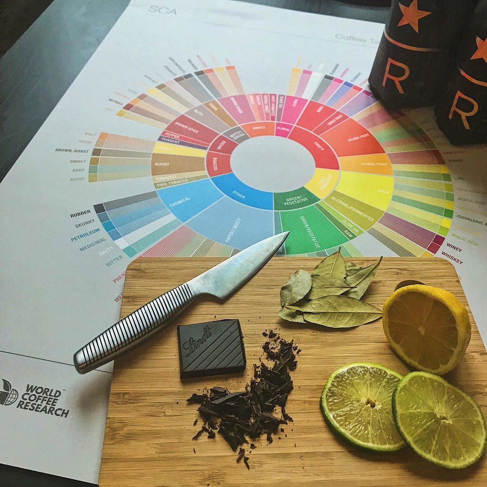 Coffee Education: Sensory Reference Experience Tasting