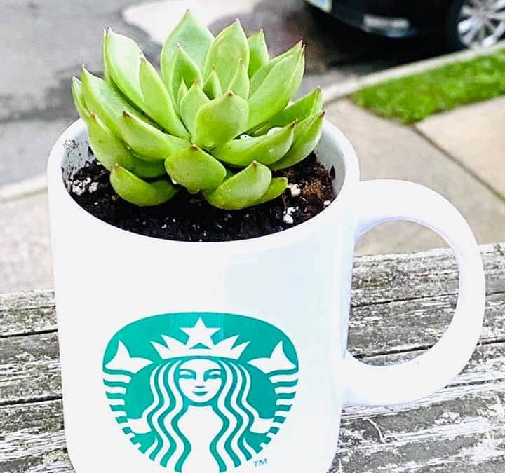Reduce, reuse, repurpose Starbucks.